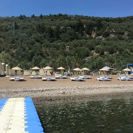 מלון Mavizeytin Beach Club