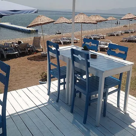 מלון Mavizeytin Beach Club