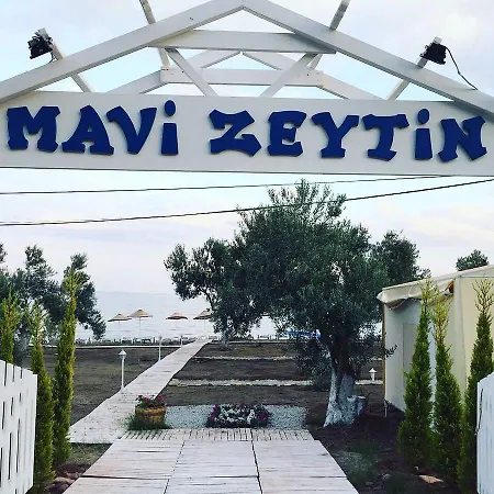 Mavizeytin Beach Club מלון *