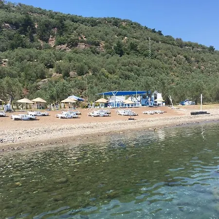 Mavizeytin Beach Club מלון Ayvacik (Canakkale)
