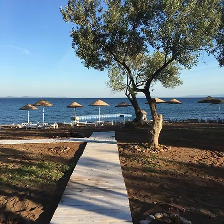מלון Mavizeytin Beach Club