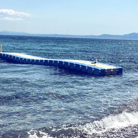 Mavizeytin Beach Club Ayvacik (Canakkale)