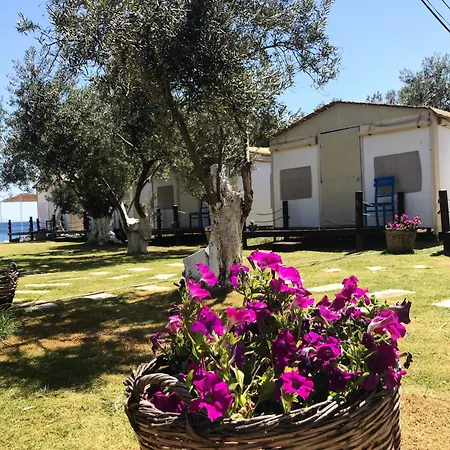 Mavizeytin Beach Club * Ayvacik (Canakkale)