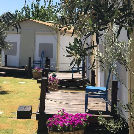 Mavizeytin Beach Club מלון Ayvacik (Canakkale)