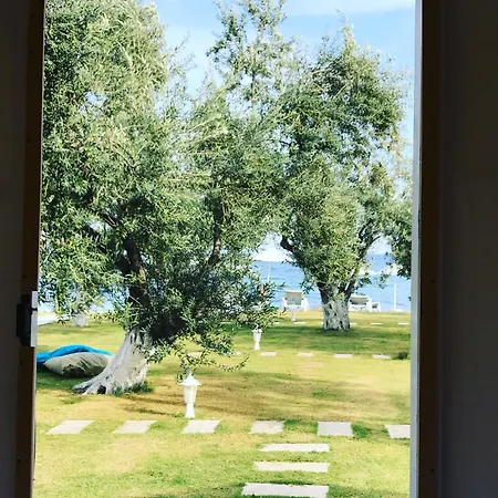 מלון Mavizeytin Beach Club