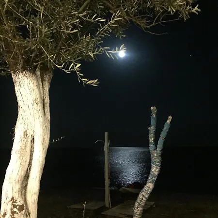 מלון Mavizeytin Beach Club