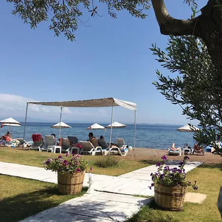Mavizeytin Beach Club *