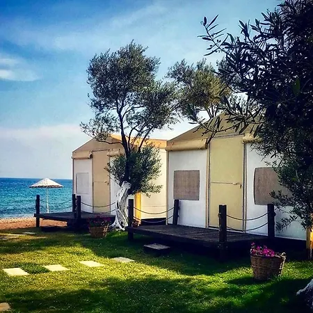 מלון Mavizeytin Beach Club