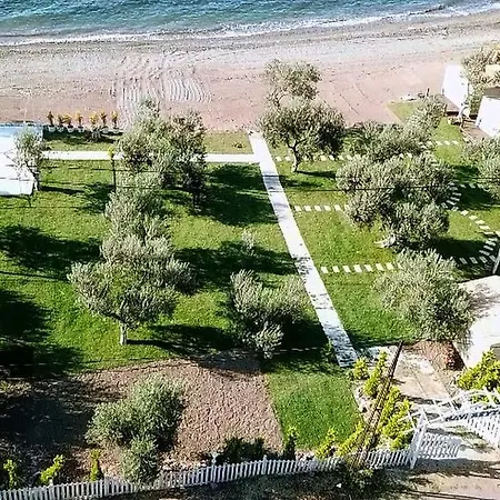 Mavizeytin Beach Club *