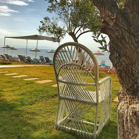Mavizeytin Beach Club מלון Ayvacik (Canakkale)